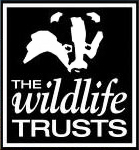 The Wilfe Trust